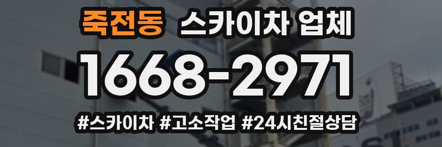 죽전동 스카이차 업체