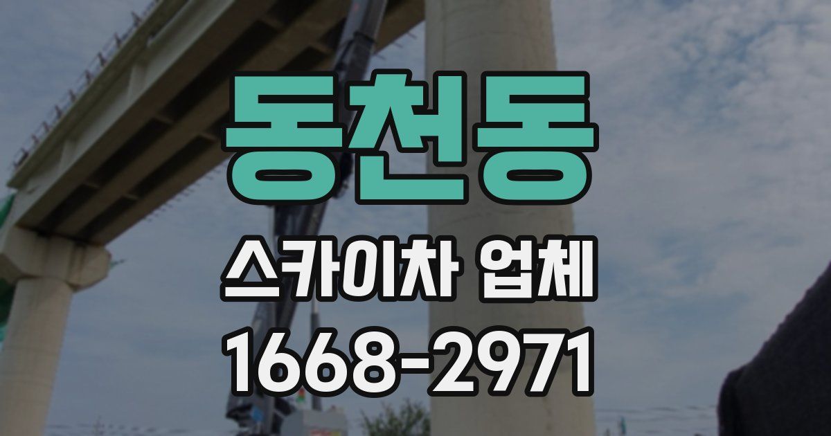 동천동 스카이차 업체