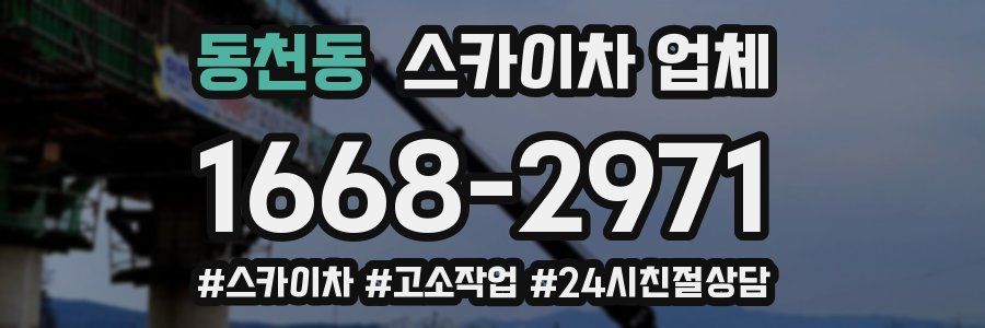 동천동 스카이차 업체