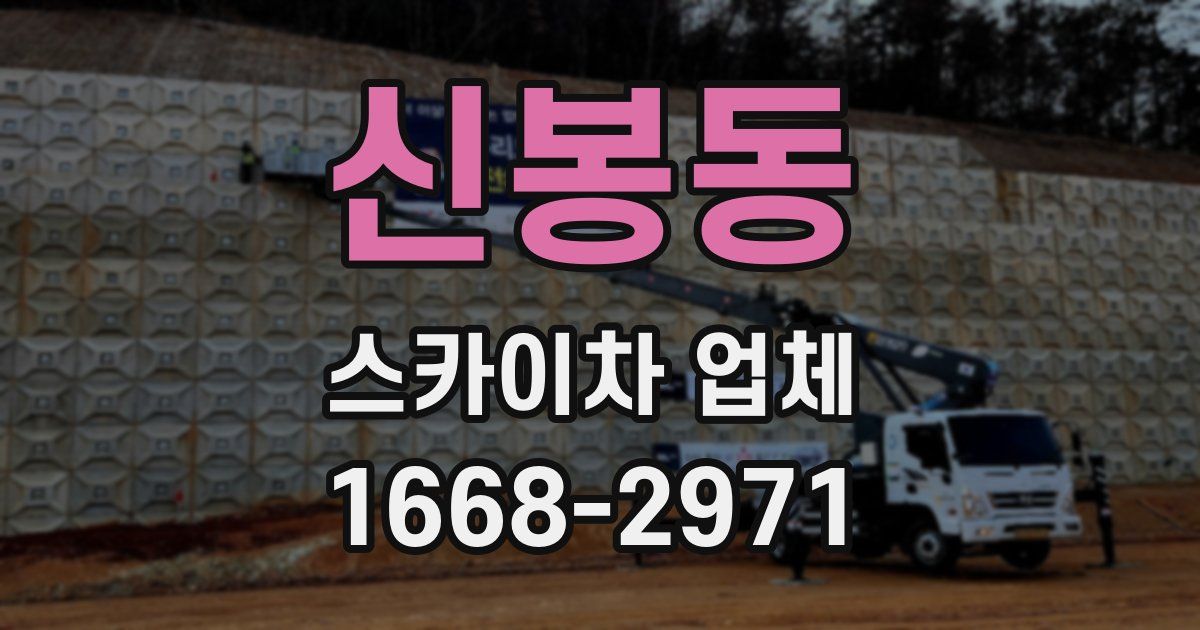 신봉동 스카이차 업체