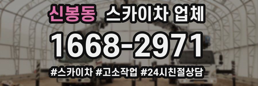 신봉동 스카이차 업체