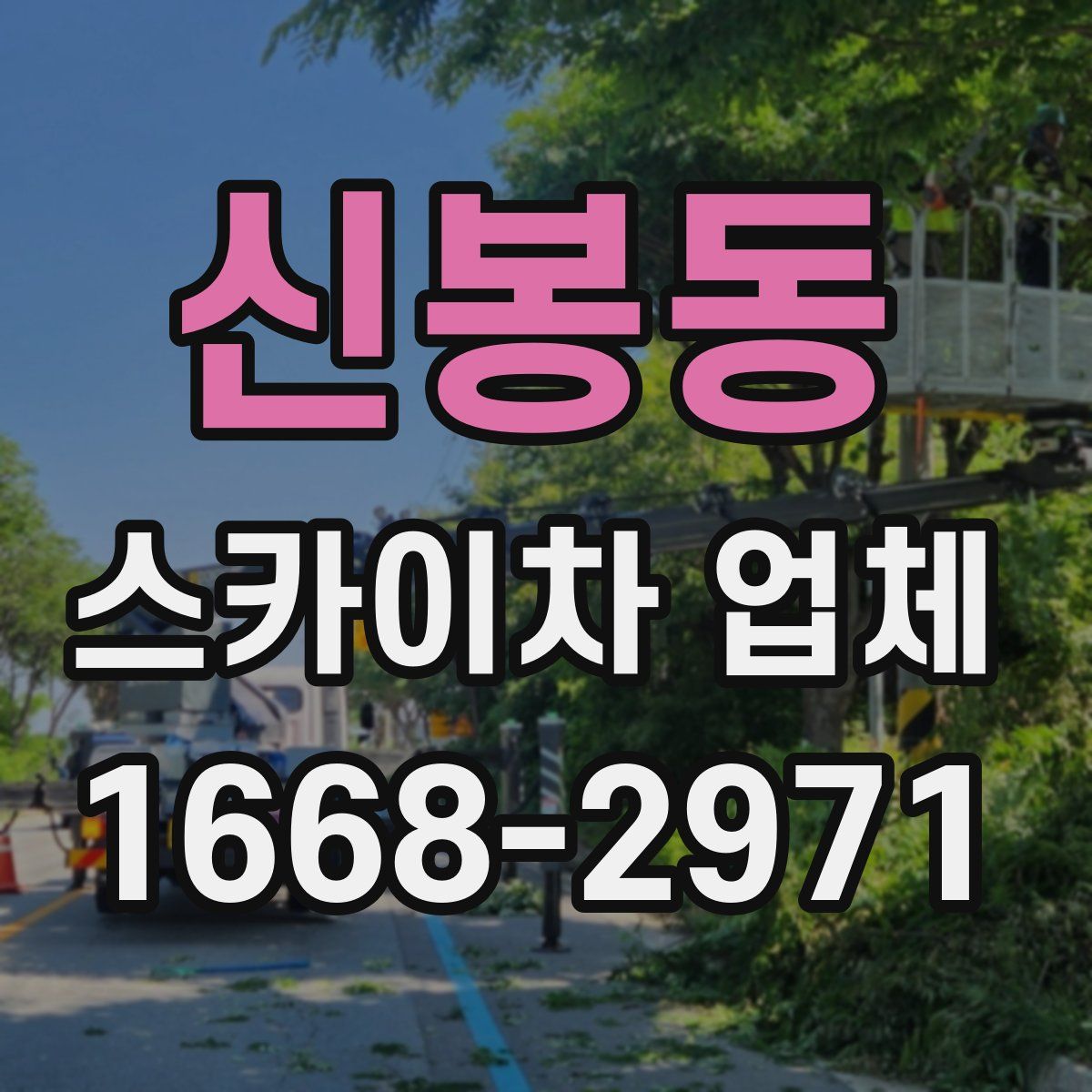 신봉동 스카이차 업체