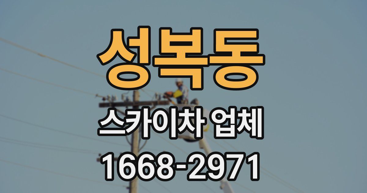 성복동 스카이차 업체