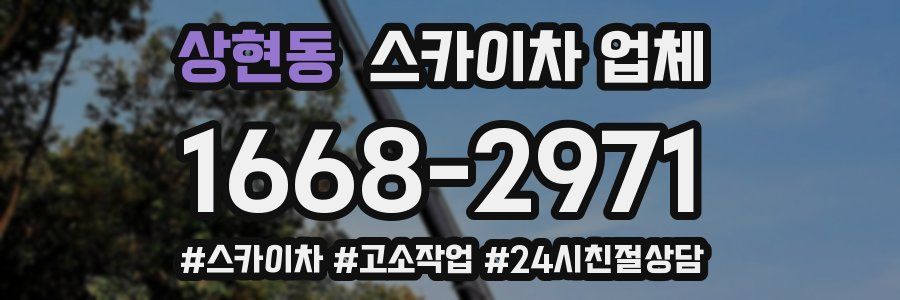 상현동 스카이차 업체