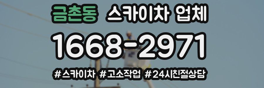 금촌동 스카이차 업체