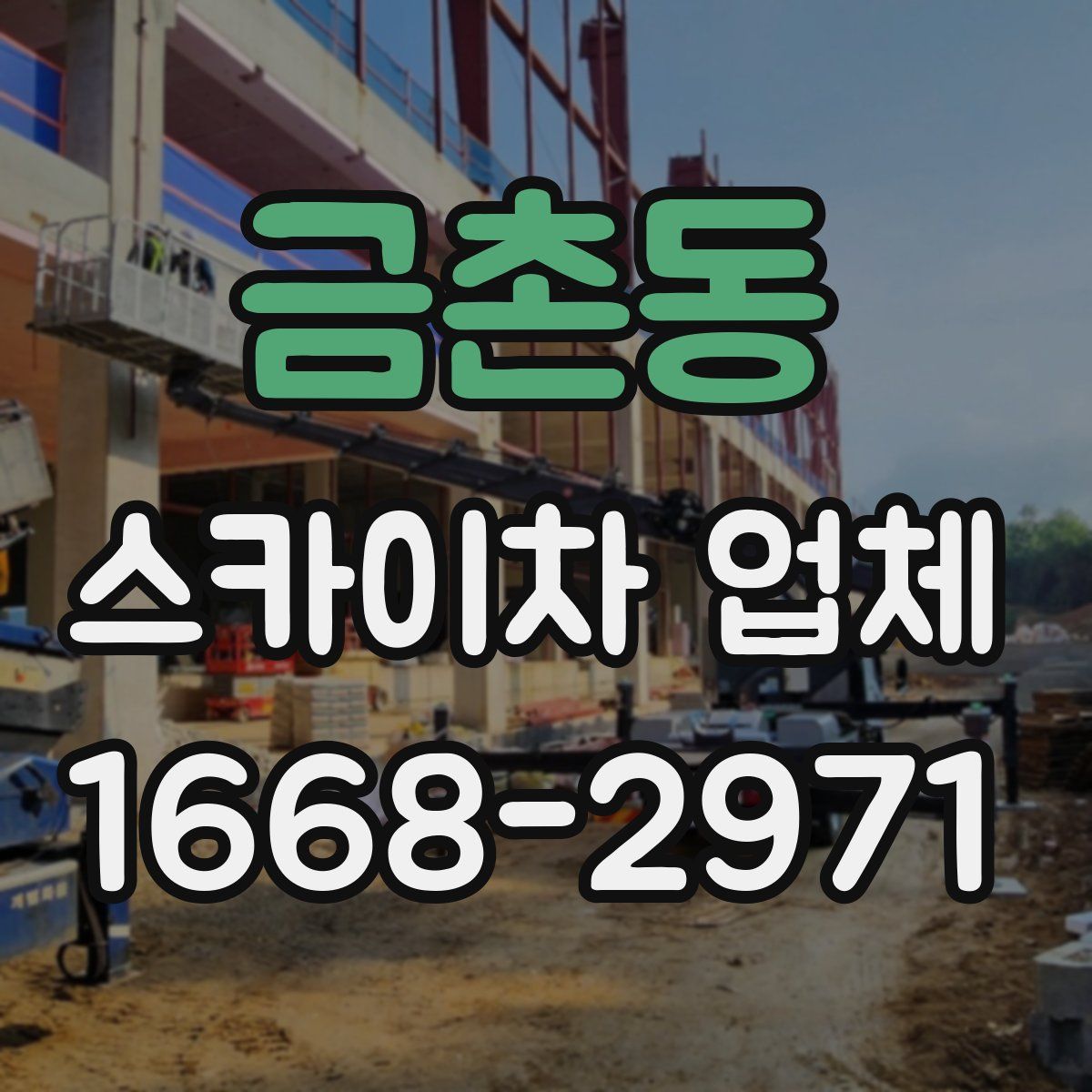금촌동 스카이차 업체