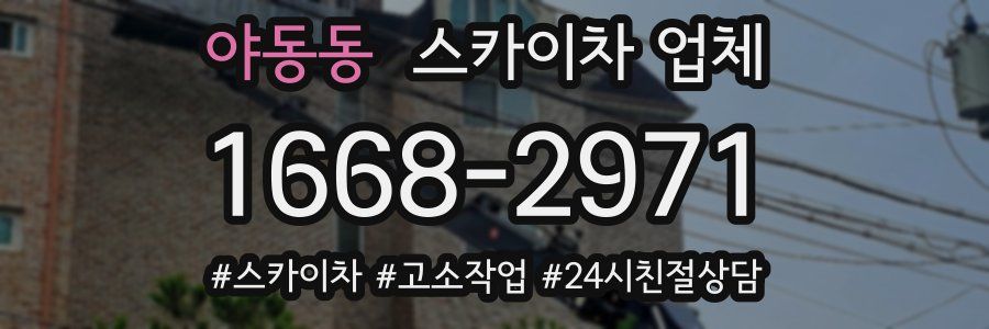 야동동 스카이차 업체