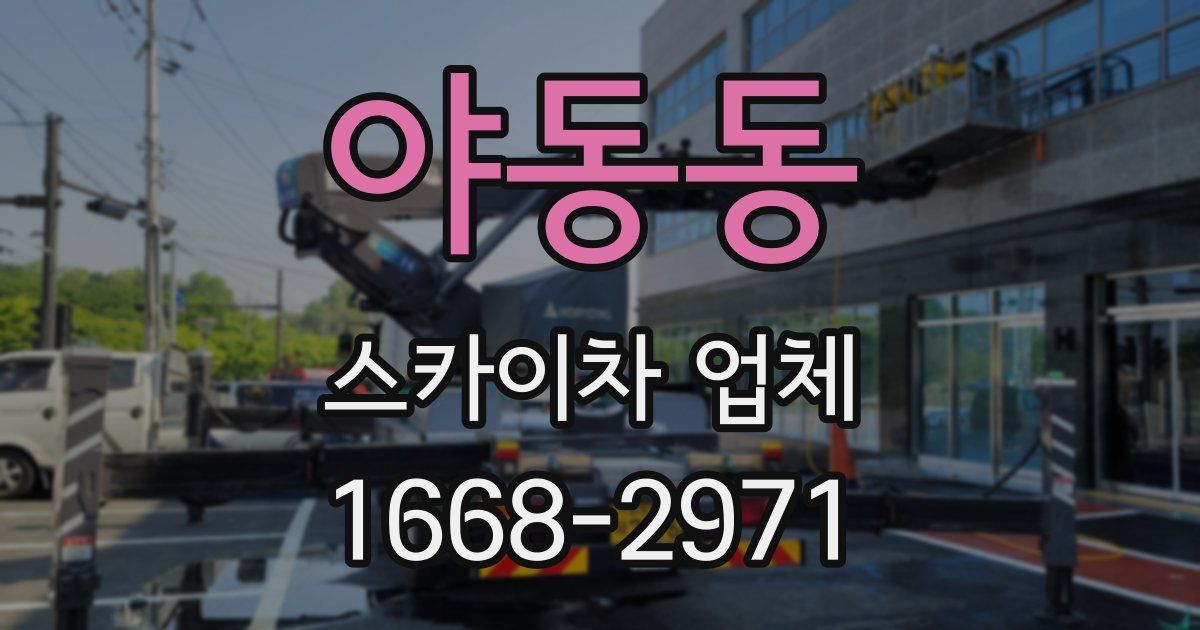 야동동 스카이차 업체
