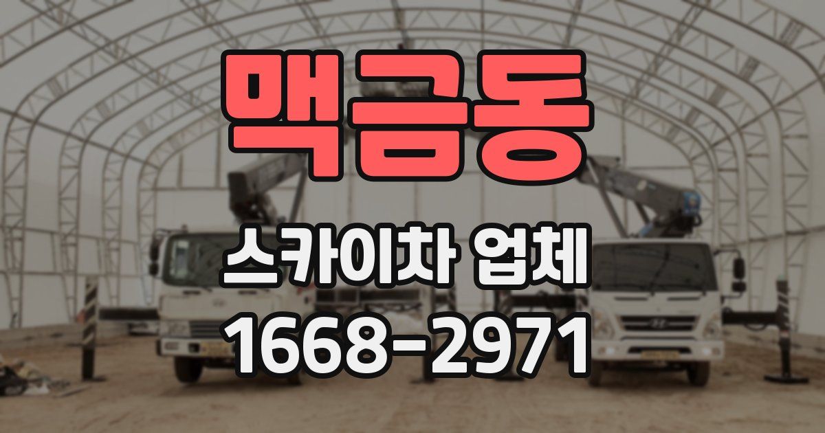 맥금동 스카이차 업체
