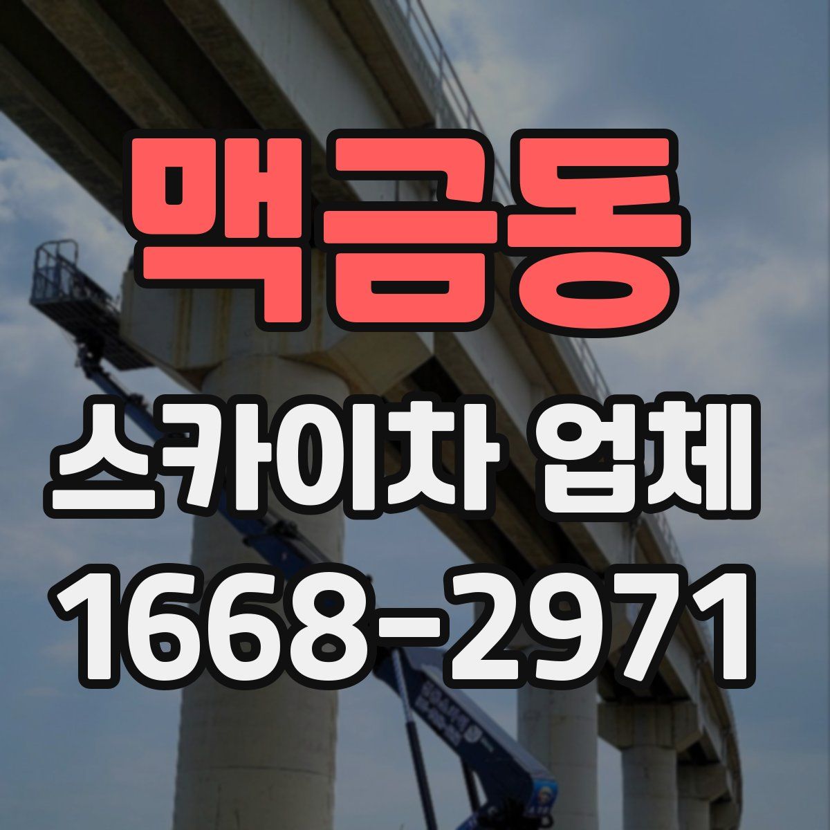 맥금동 스카이차 업체