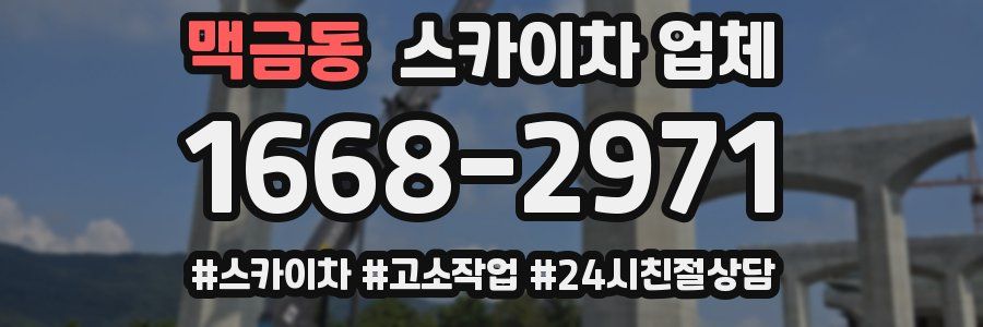 맥금동 스카이차 업체