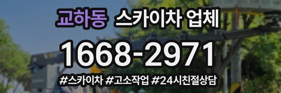 교하동 스카이차 업체
