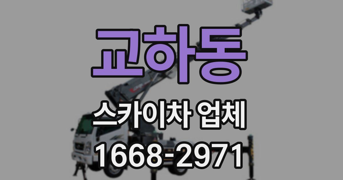 교하동 스카이차 업체