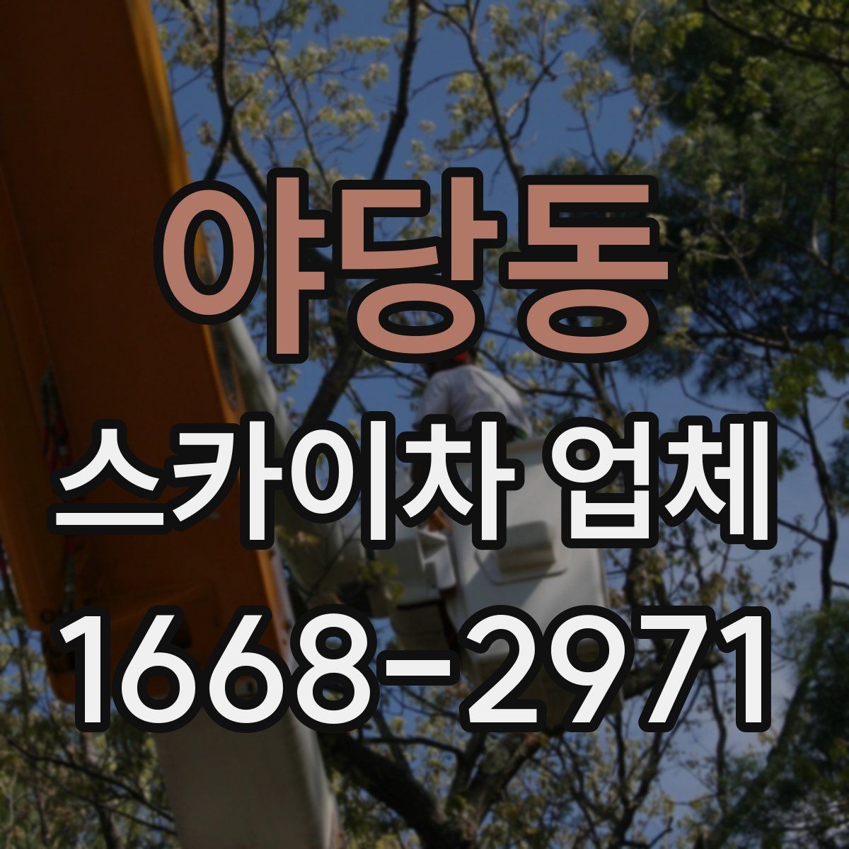 야당동 스카이차 업체