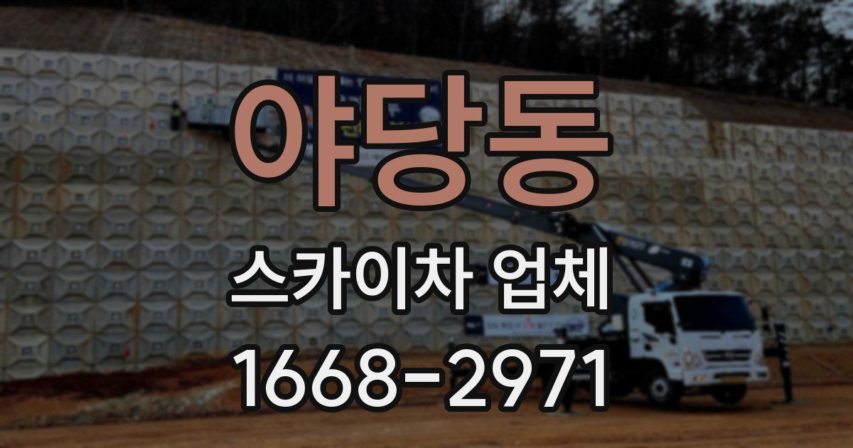 야당동 스카이차 업체
