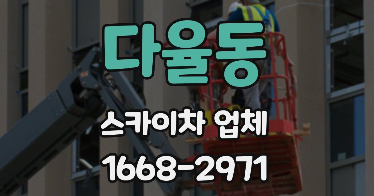 다율동 스카이차 업체