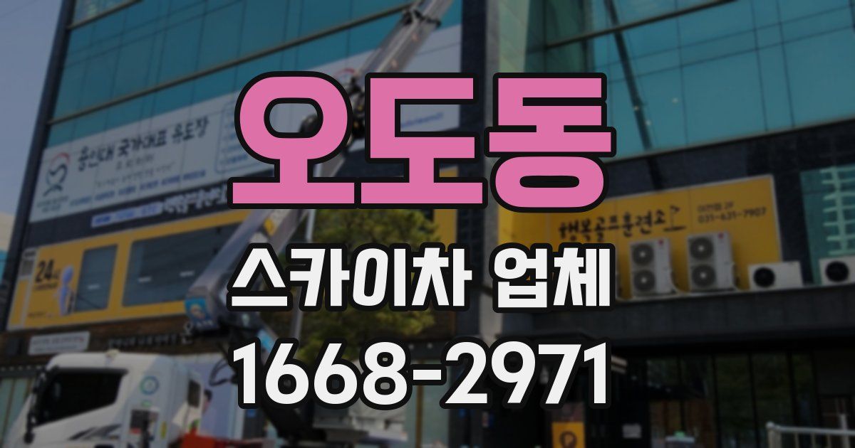 오도동 스카이차 업체