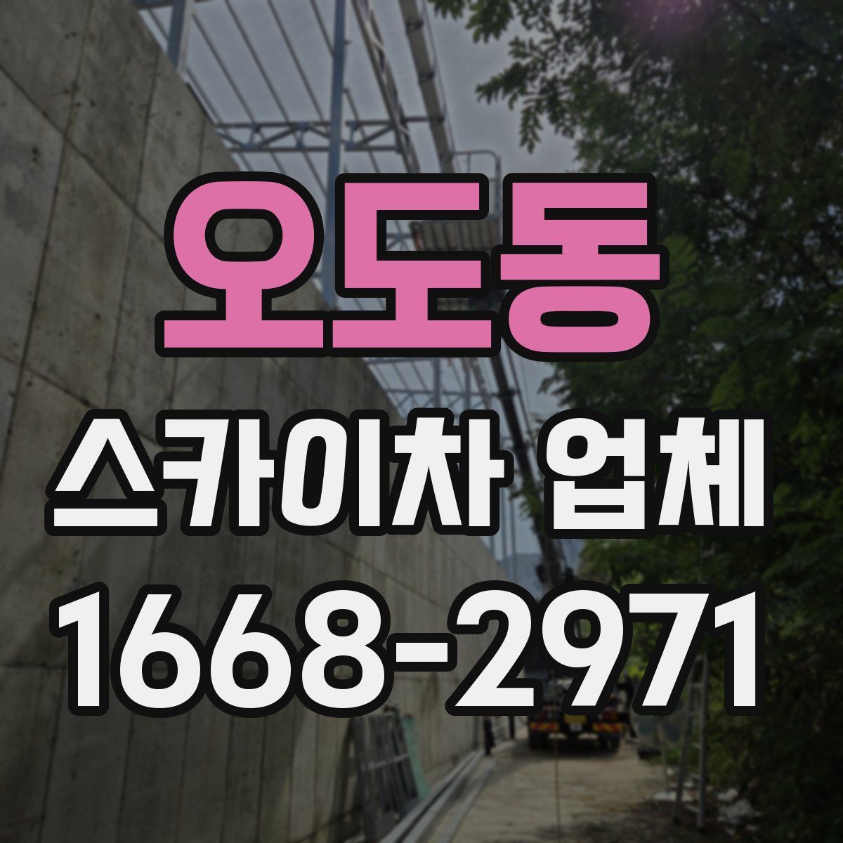 오도동 스카이차 업체