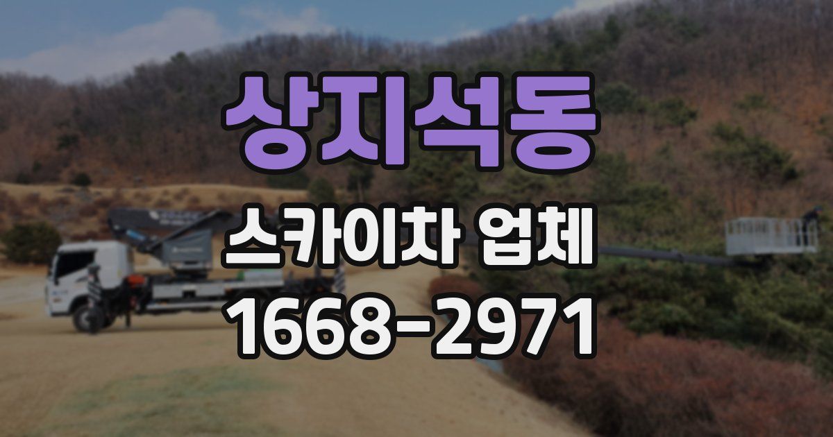 상지석동 스카이차 업체