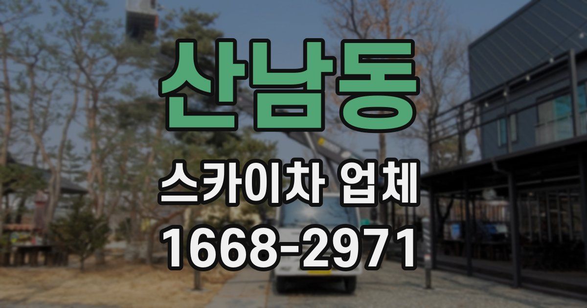 산남동 스카이차 업체