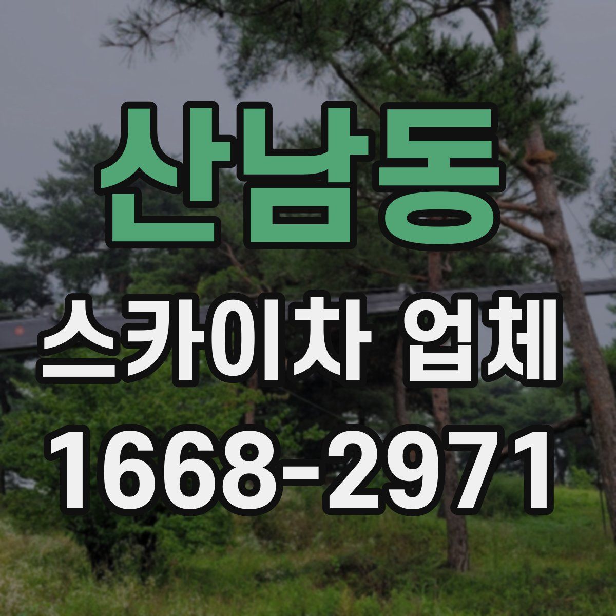 산남동 스카이차 업체