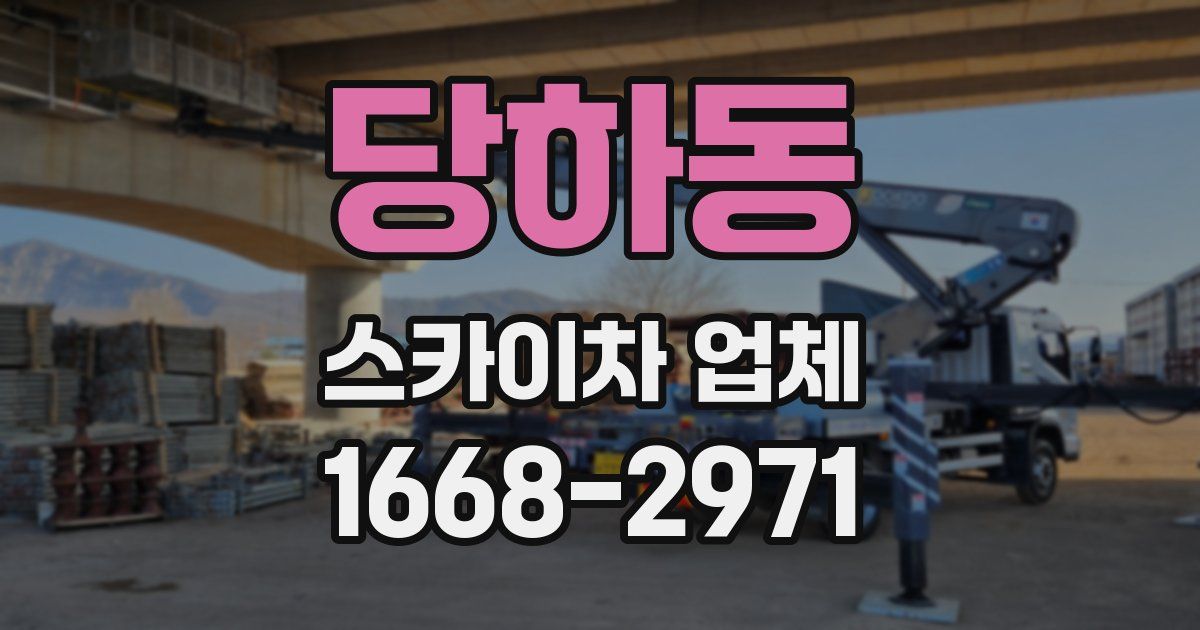 당하동 스카이차 업체