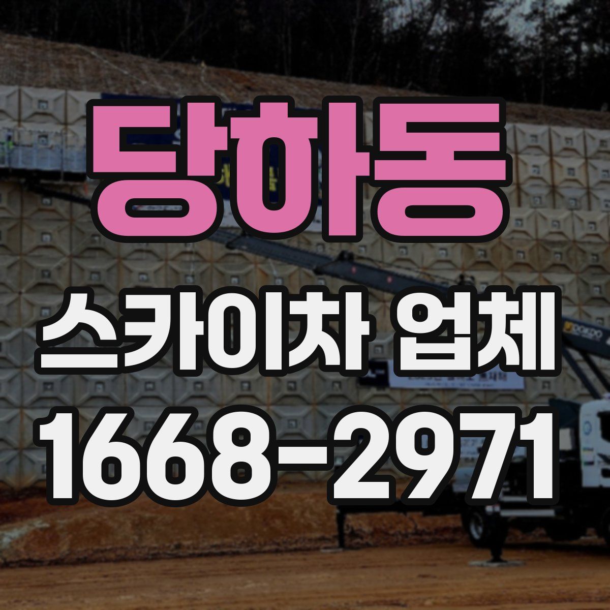 당하동 스카이차 업체