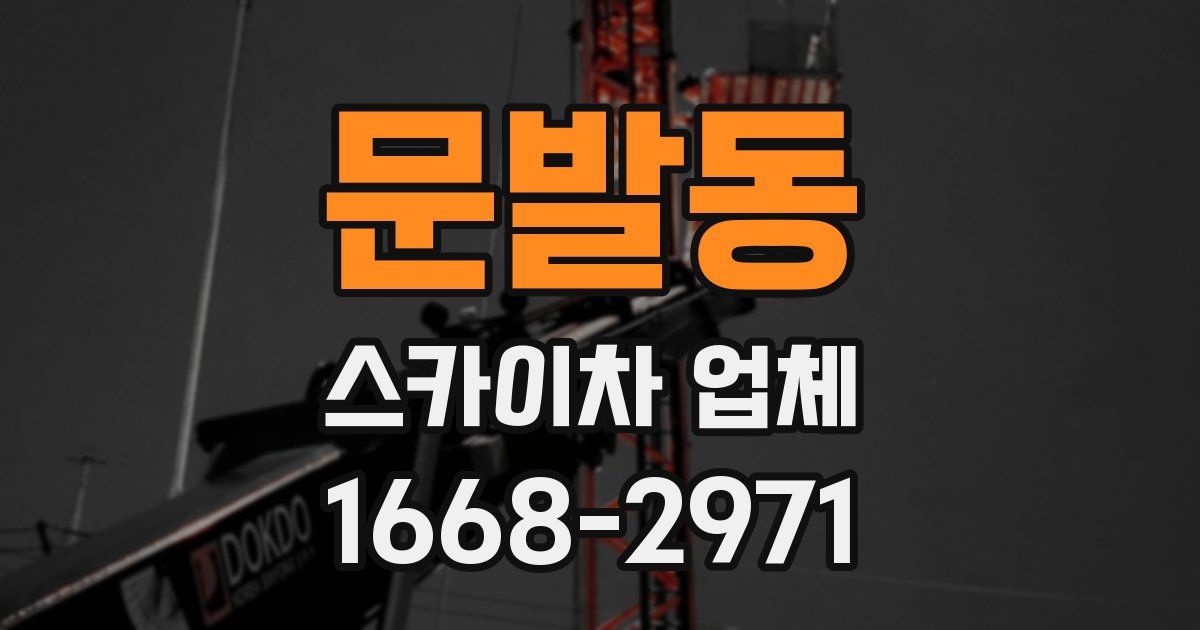 문발동 스카이차 업체