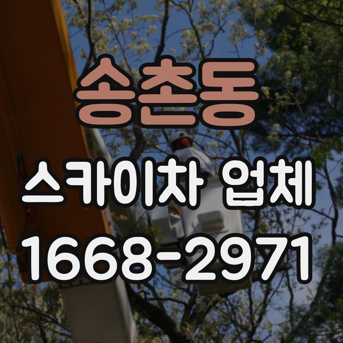 송촌동 스카이차 업체
