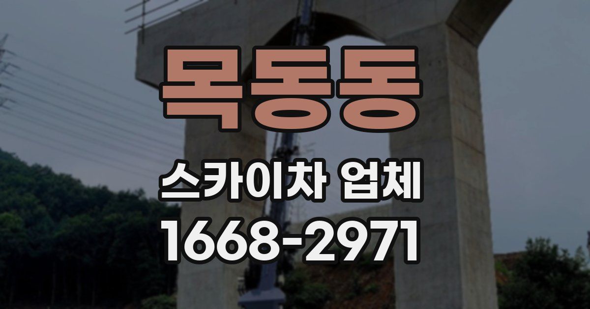 목동동 스카이차 업체