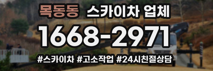 목동동 스카이차 업체