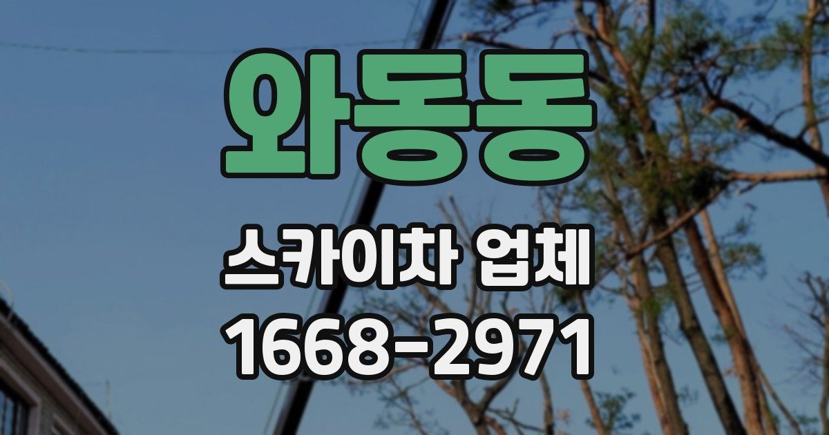 와동동 스카이차 업체
