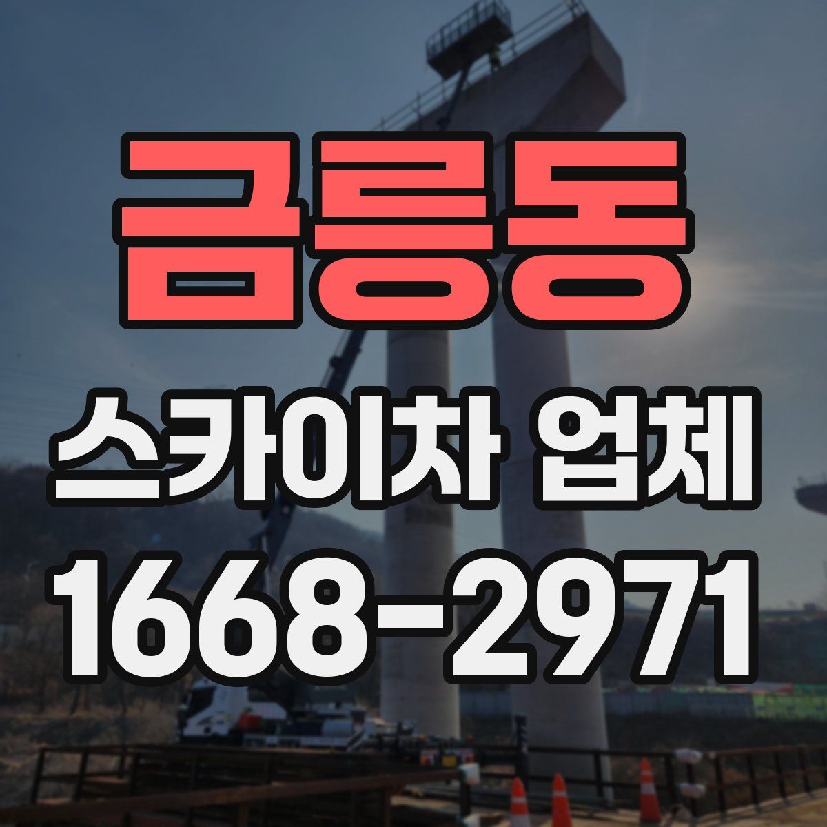 금릉동 스카이차 업체