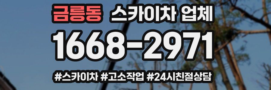 금릉동 스카이차 업체