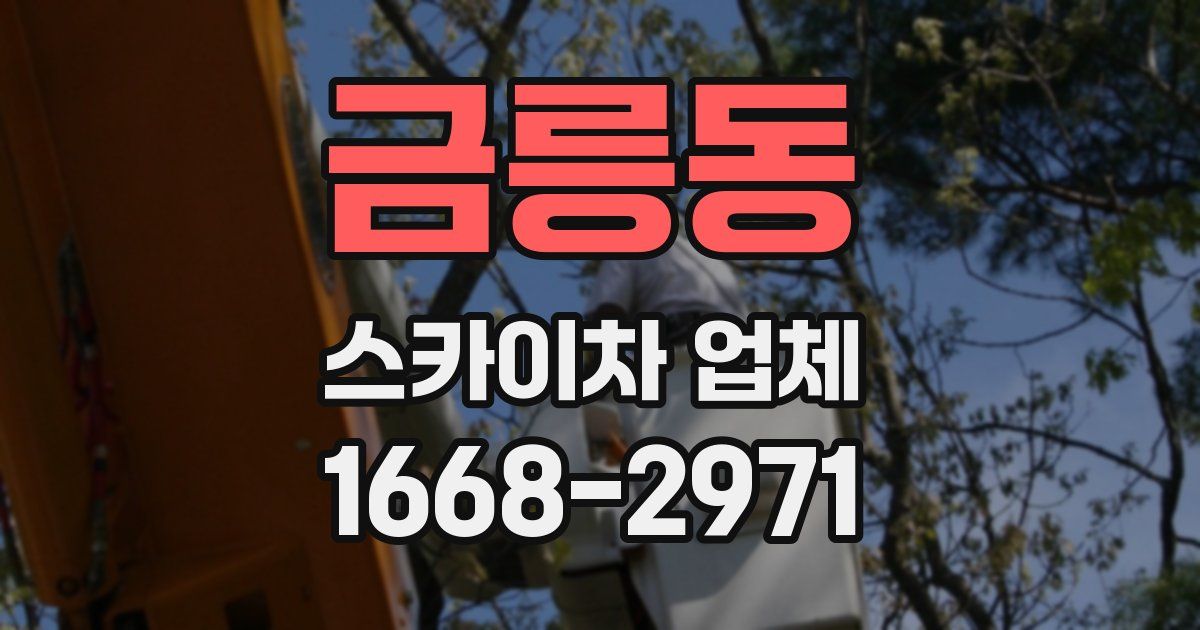 금릉동 스카이차 업체
