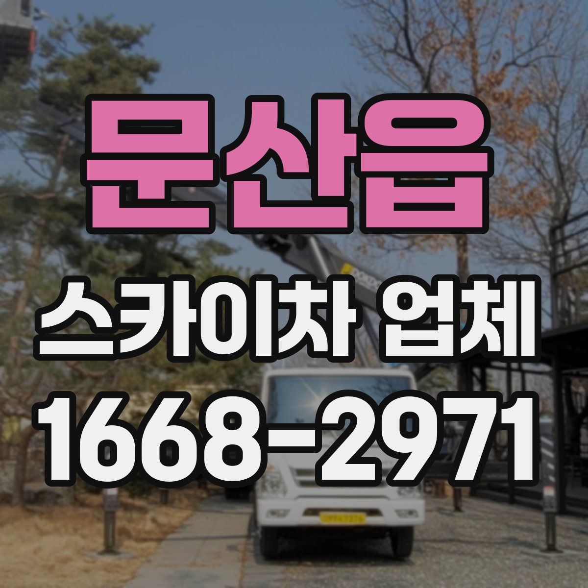 문산읍 스카이차 업체