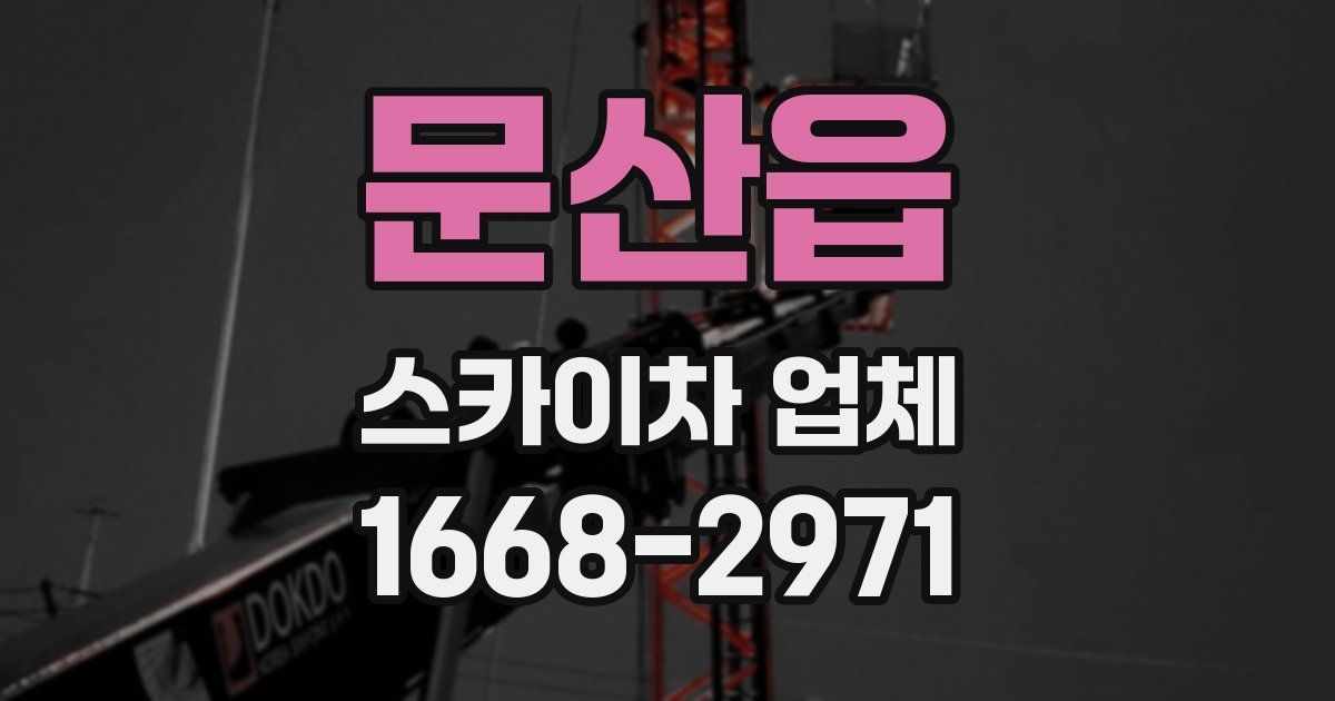 문산읍 스카이차 업체
