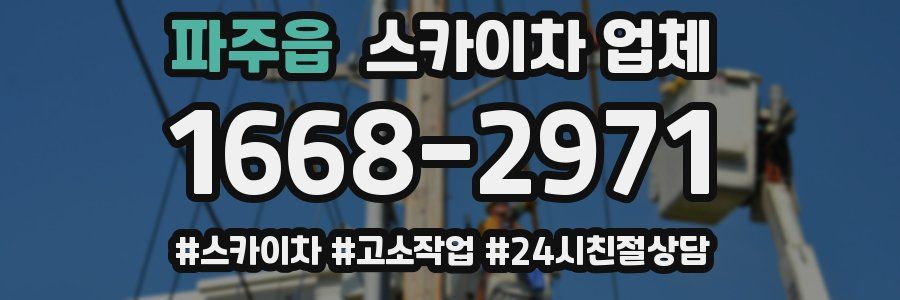 파주읍 스카이차 업체