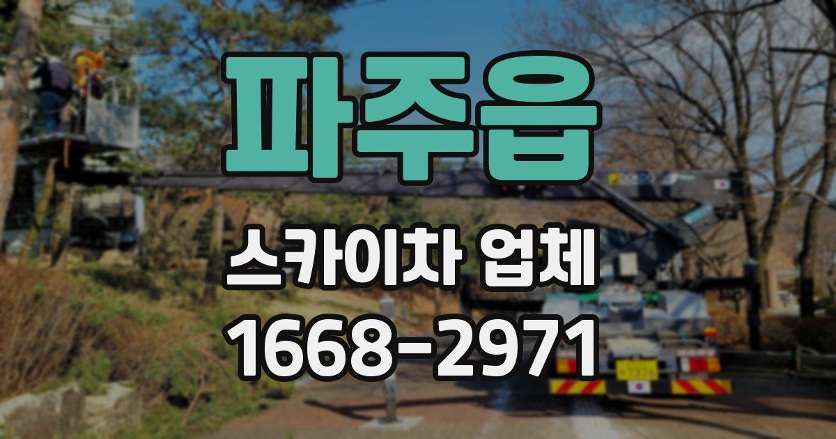 파주읍 스카이차 업체