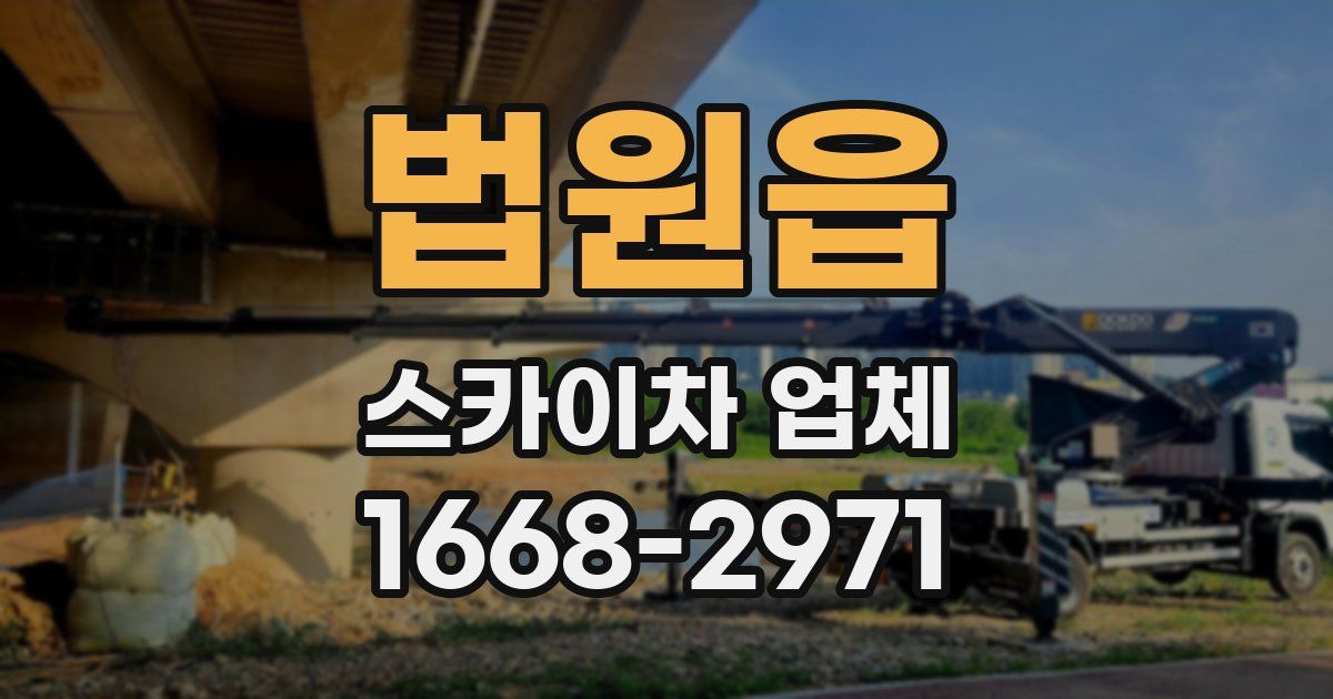 법원읍 스카이차 업체