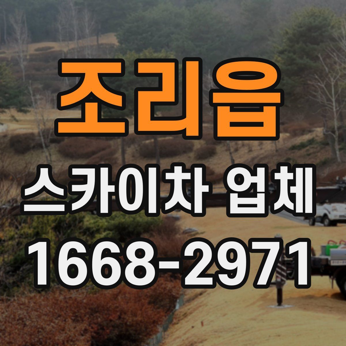 조리읍 스카이차 업체