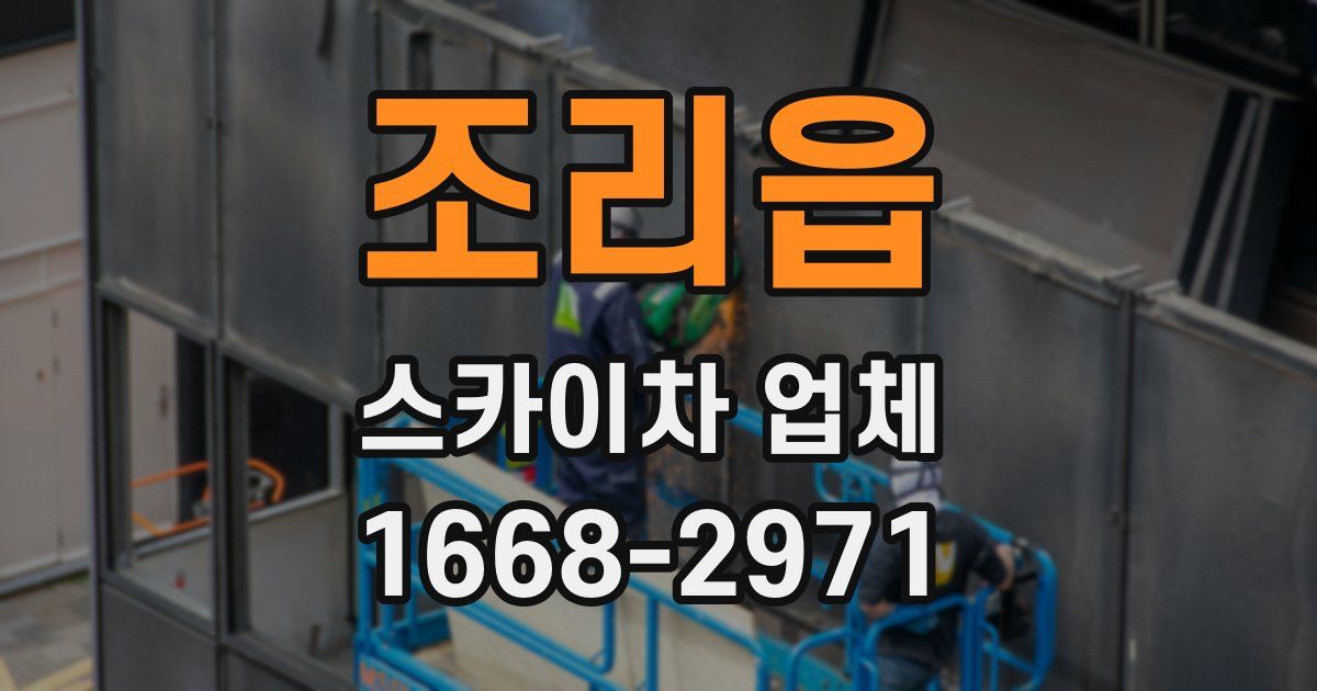 조리읍 스카이차 업체