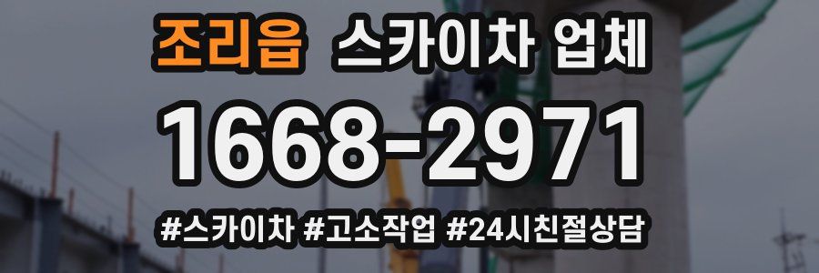 조리읍 스카이차 업체