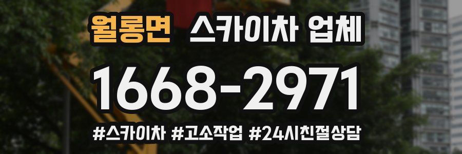 월롱면 스카이차 업체