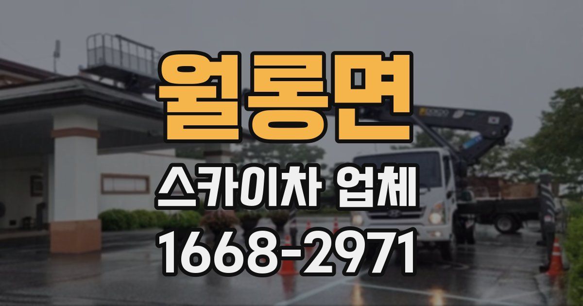 월롱면 스카이차 업체