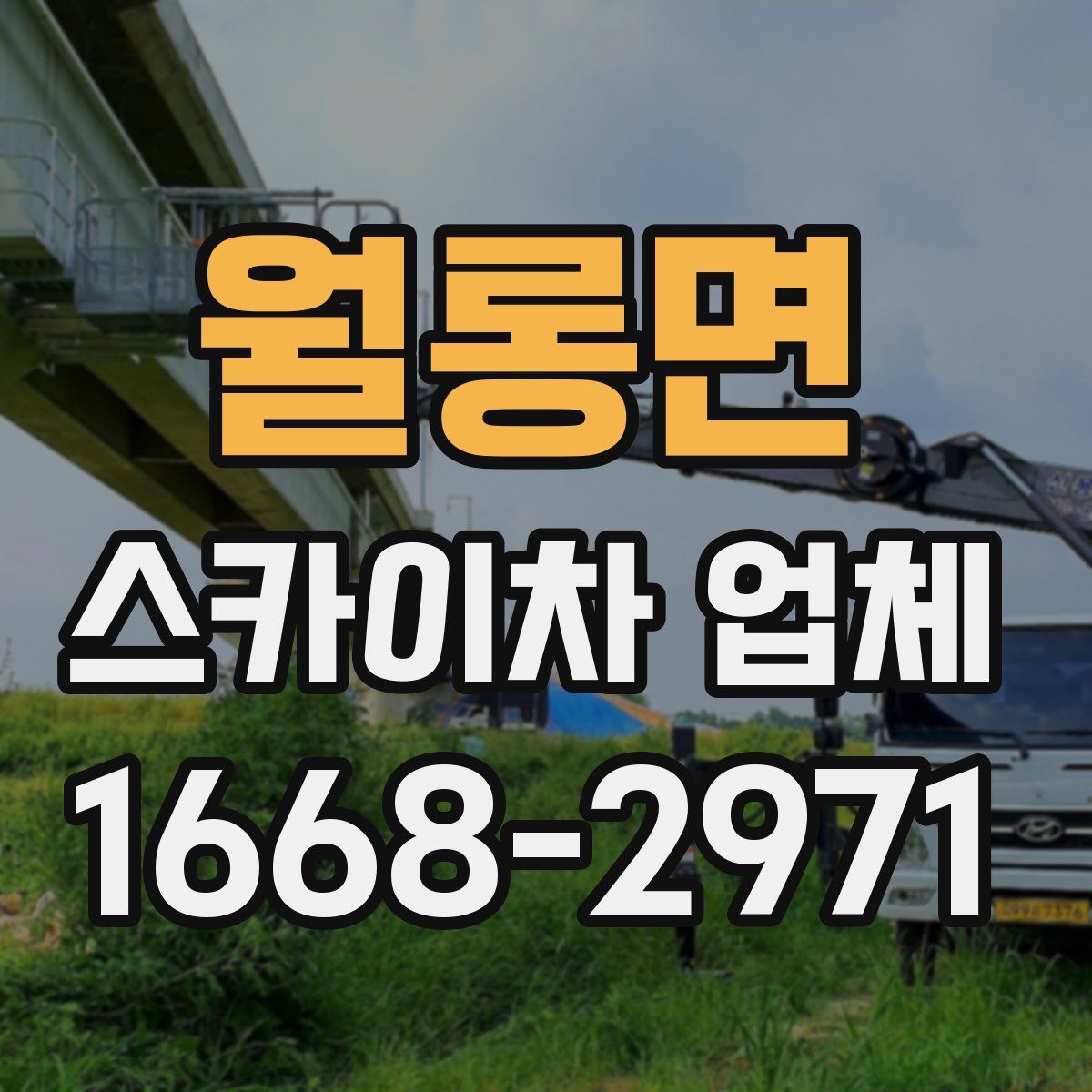 월롱면 스카이차 업체