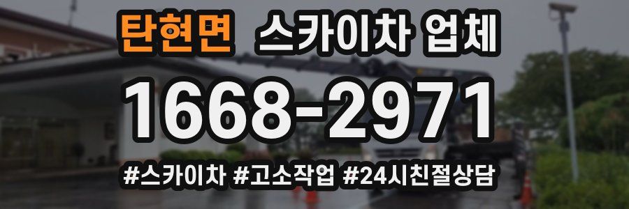 탄현면 스카이차 업체
