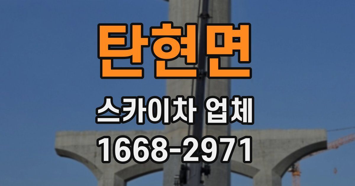 탄현면 스카이차 업체