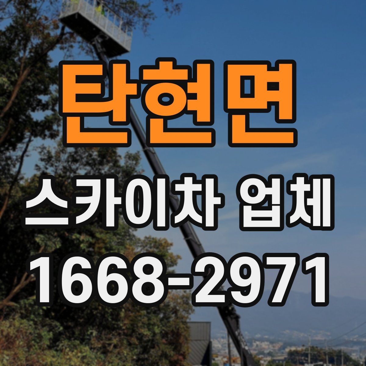 탄현면 스카이차 업체