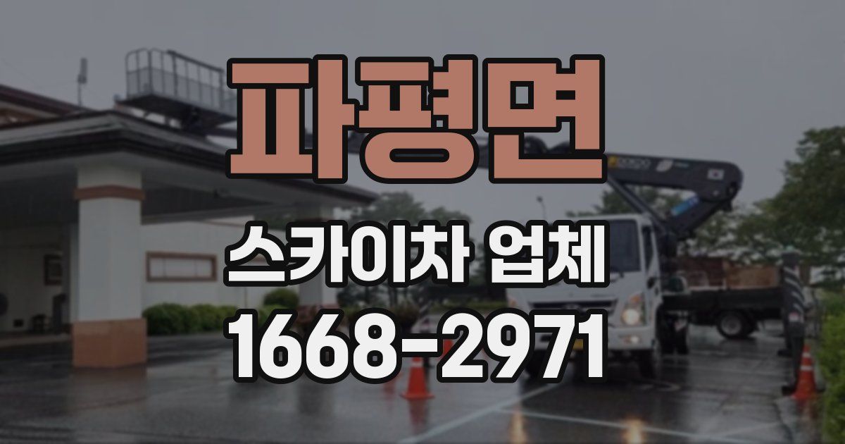 파평면 스카이차 업체
